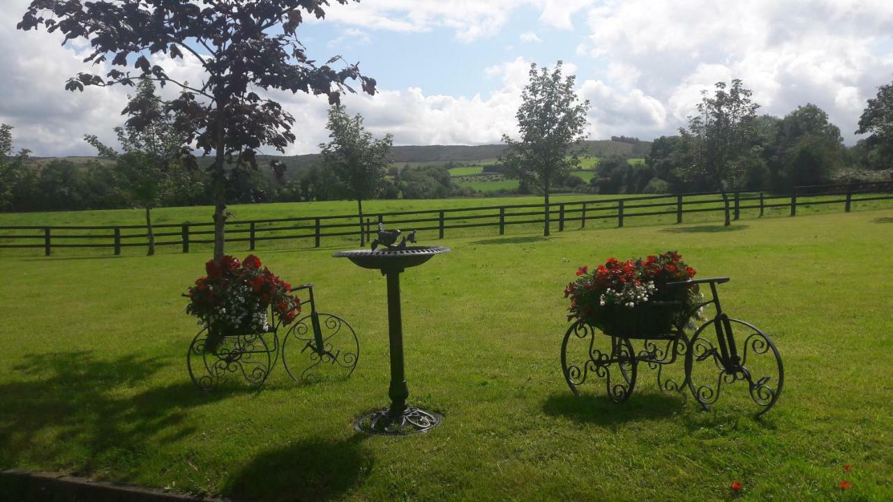 Bealkelly Country House Killaloe Exterior foto